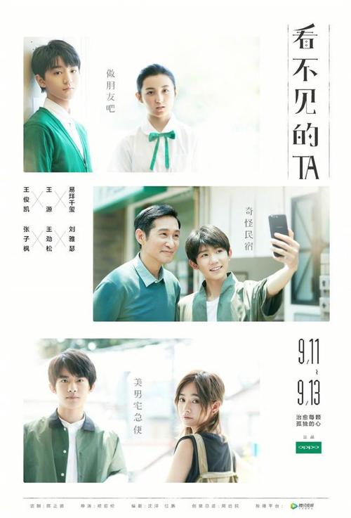 施尔布鲁克大学degree